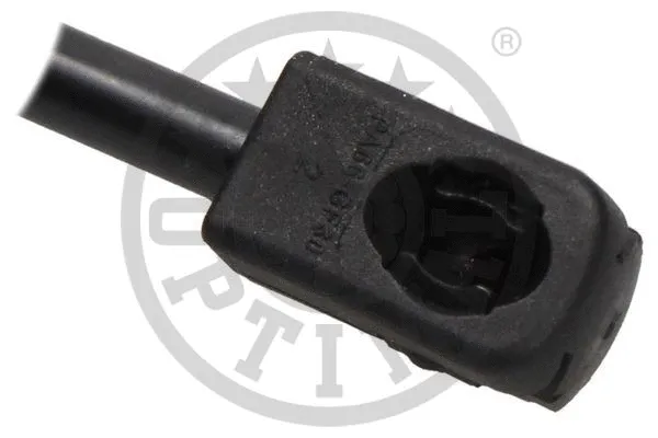 Gas Spring, bonnet