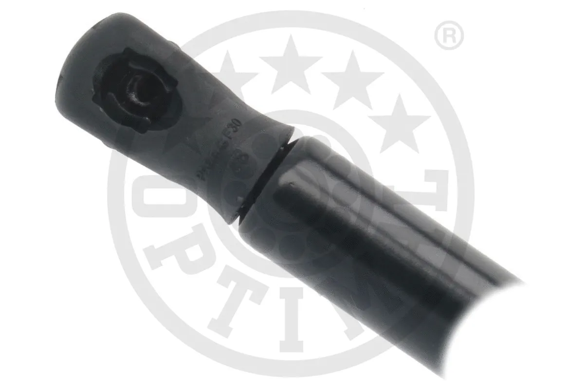 Gas Spring, boot/cargo area