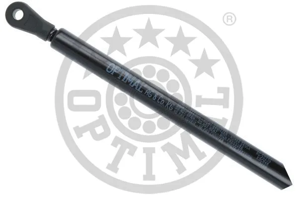 Gas Spring, bonnet