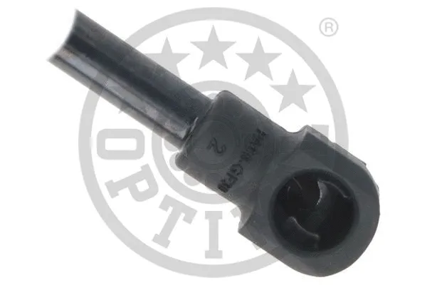 Gas Spring, boot/cargo area