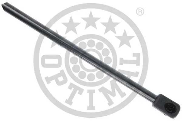 Gas Spring, boot/cargo area