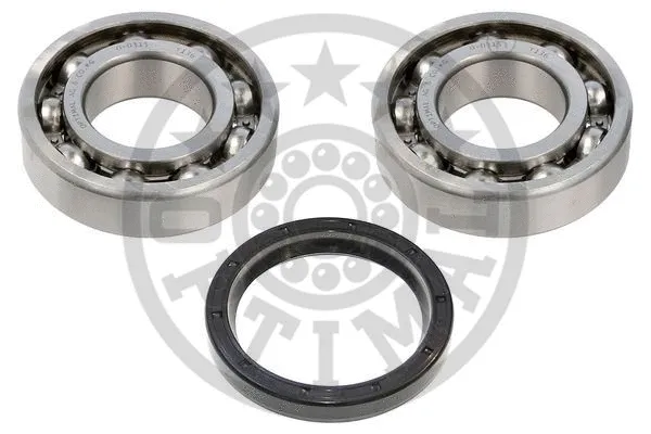 Wheel Bearing Kit (800101)