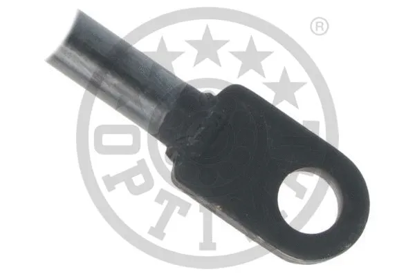 Gas Spring, boot/cargo area
