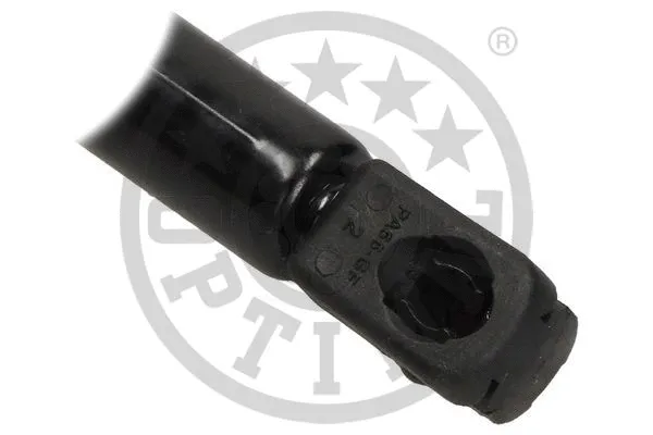 Gas Spring, boot/cargo area