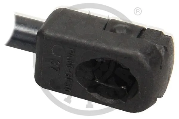 Gas Spring, boot/cargo area