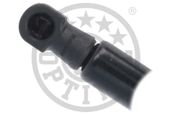 Gas Spring, boot/cargo area