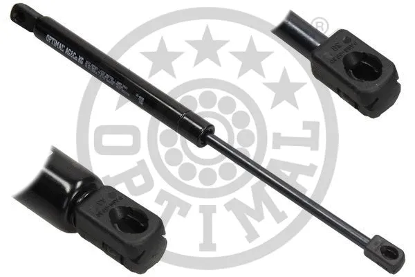 Gas Spring, boot/cargo area (AG-40388)