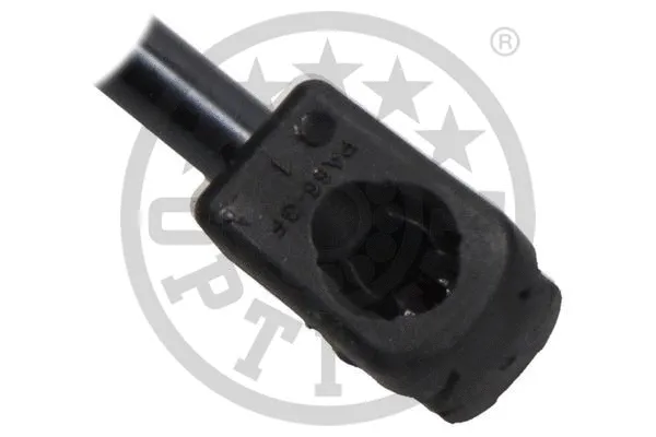 Gas Spring, boot/cargo area