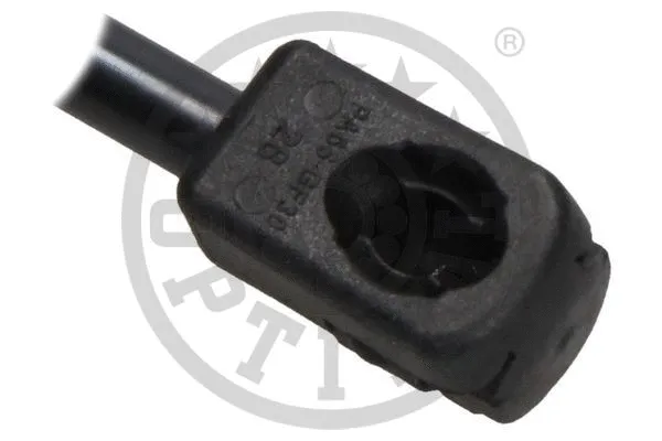 Gas Spring, bonnet