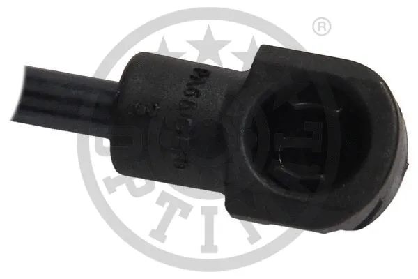 Gas Spring, boot/cargo area
