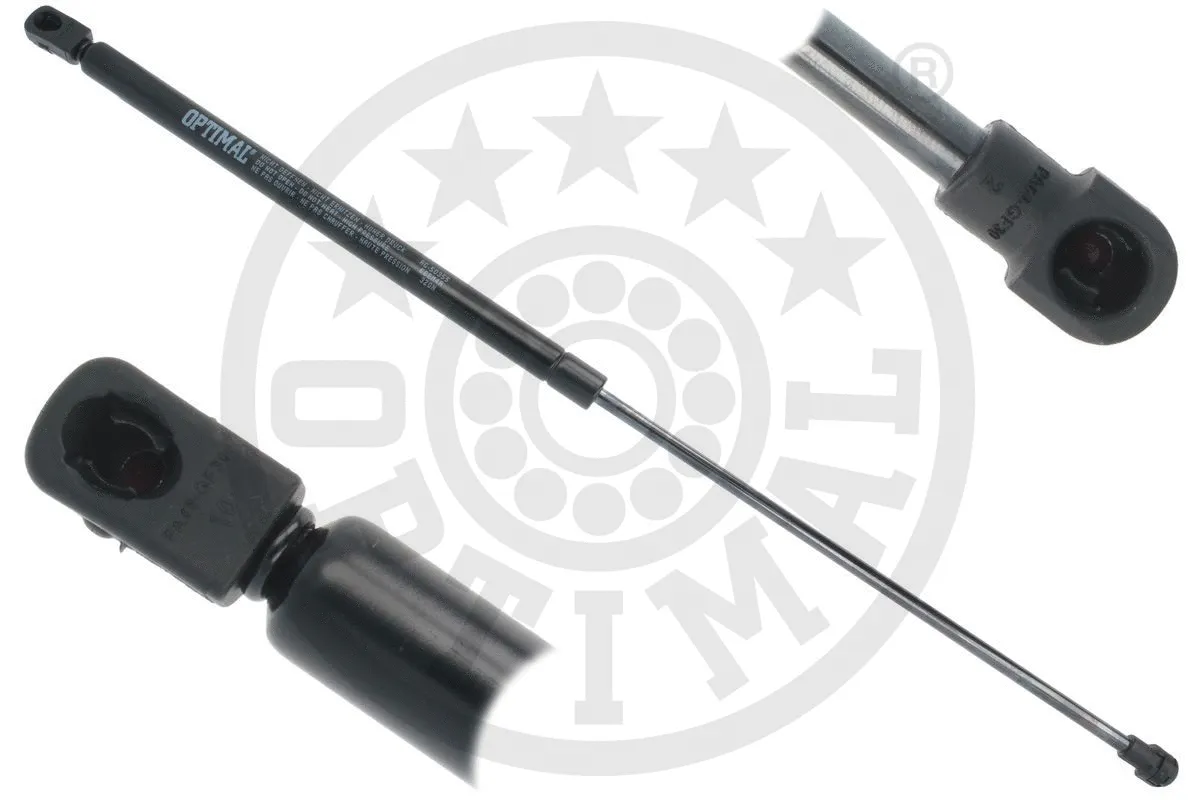Gas Spring, boot/cargo area (AG-50355)