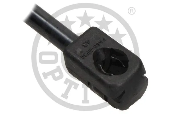 Gas Spring, bonnet