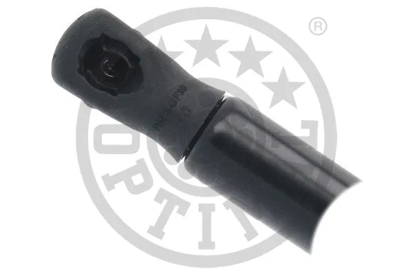 Gas Spring, boot/cargo area