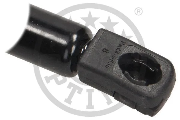 Gas Spring, boot/cargo area