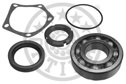 Wheel Bearing Kit (302160)