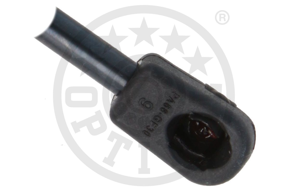 Gas Spring, boot/cargo area