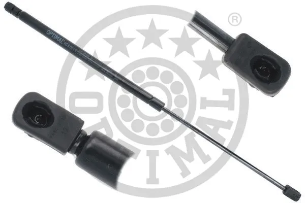Gas Spring, boot/cargo area (AG-51516)