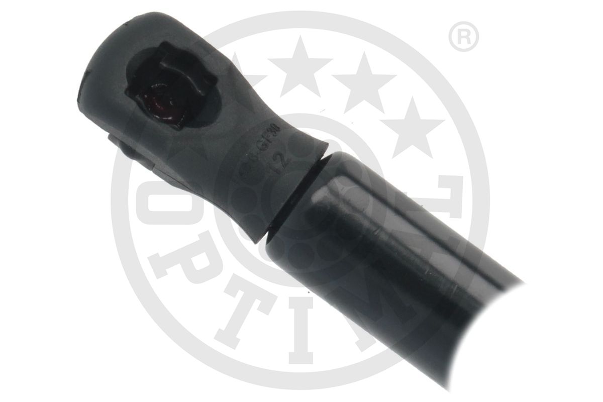 Gas Spring, boot/cargo area