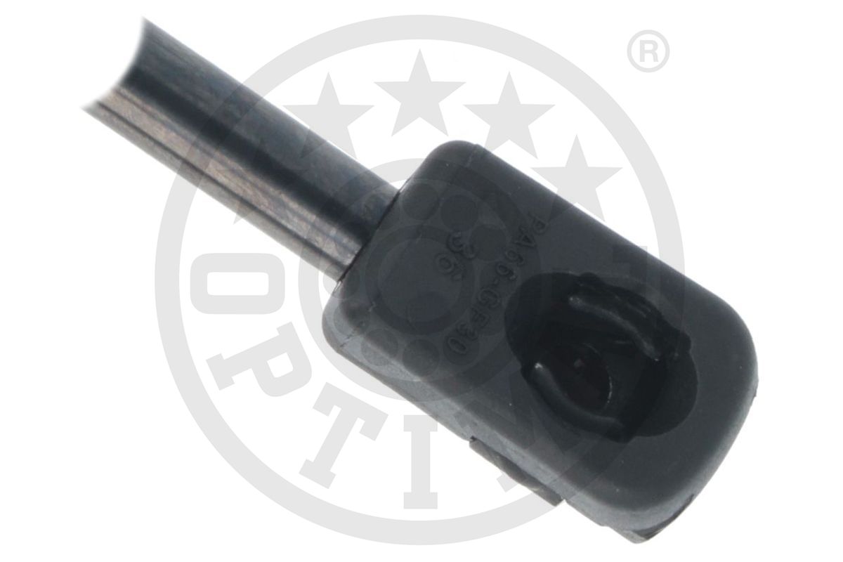 Gas Spring, boot/cargo area