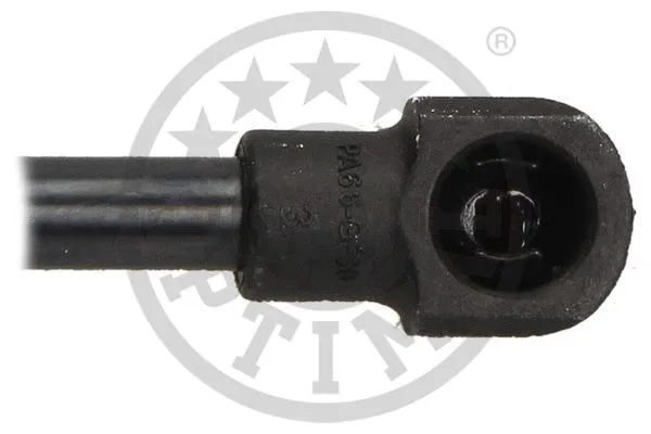 Gas Spring, boot/cargo area