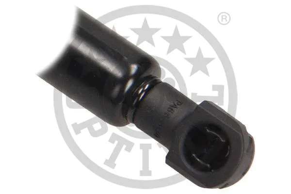 Gas Spring, boot/cargo area