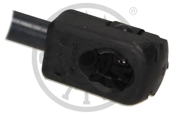 Gas Spring, boot/cargo area
