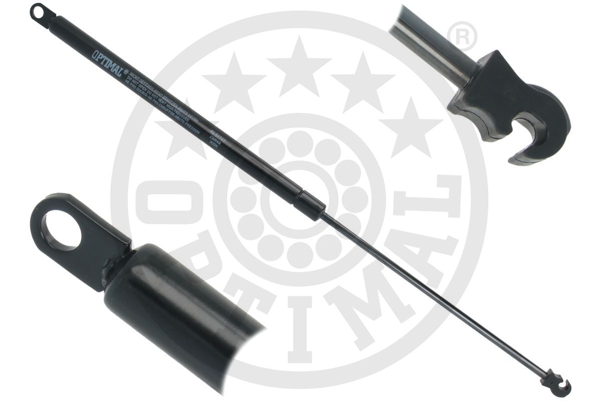 Gas Spring, boot/cargo area (AG-51743)