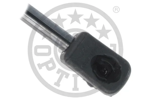 Gas Spring, boot/cargo area
