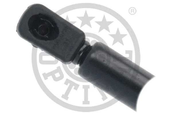 Gas Spring, boot/cargo area