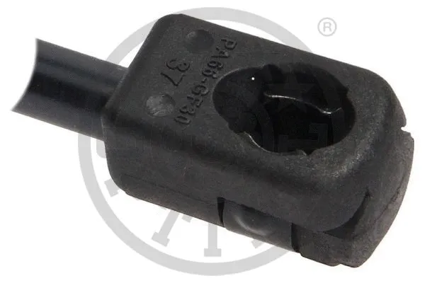 Gas Spring, boot/cargo area