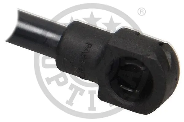 Gas Spring, boot/cargo area