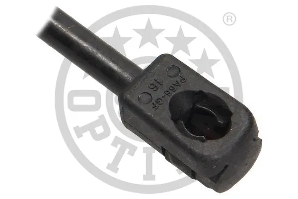 Gas Spring, boot/cargo area