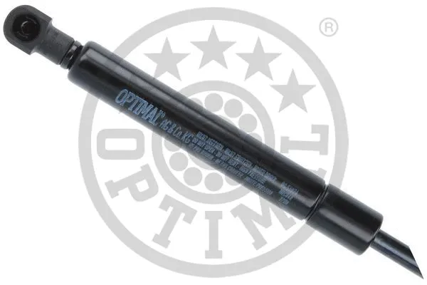 Gas Spring, boot/cargo area