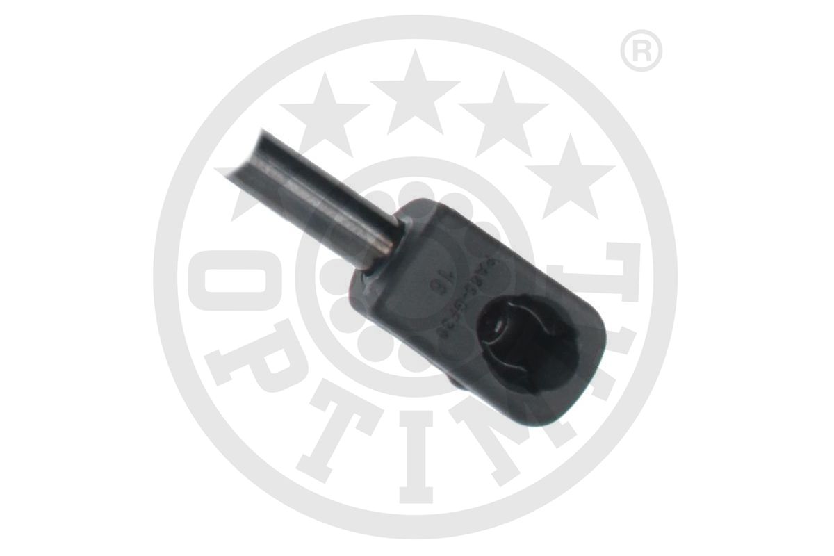 Gas Spring, boot/cargo area