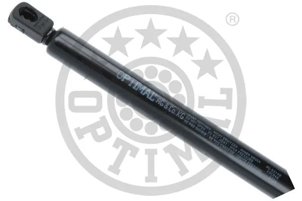 Gas Spring, boot/cargo area