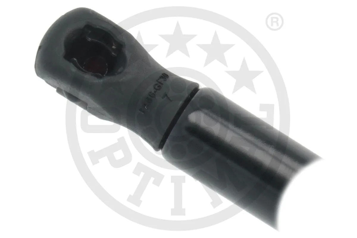 Gas Spring, boot/cargo area