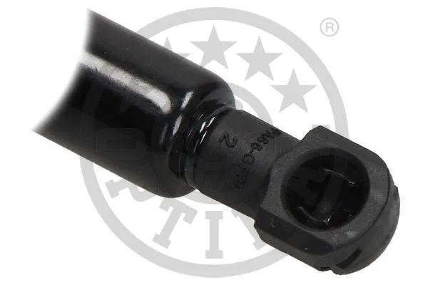 Gas Spring, boot/cargo area