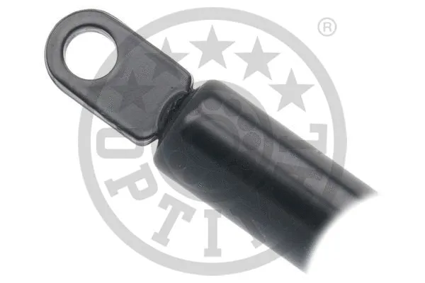 Gas Spring, boot/cargo area