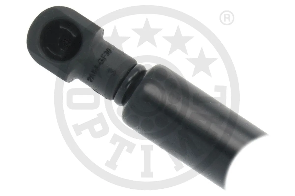 Gas Spring, boot/cargo area