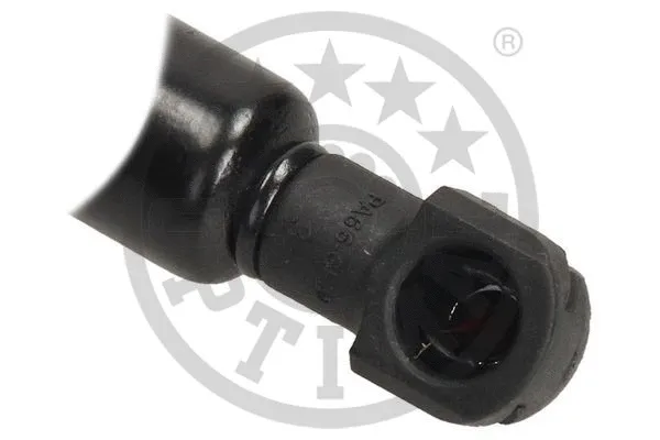 Gas Spring, boot/cargo area