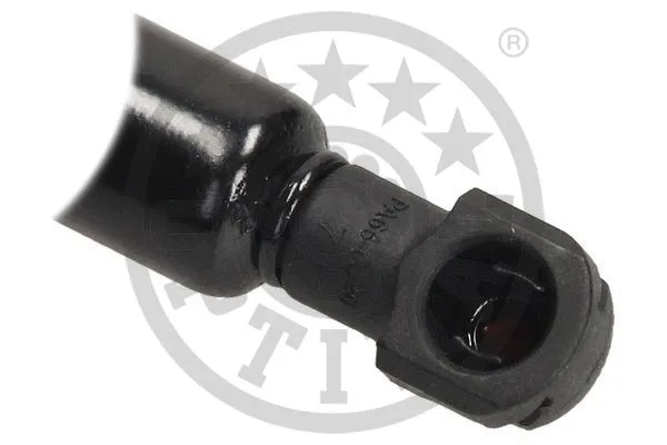 Gas Spring, bonnet