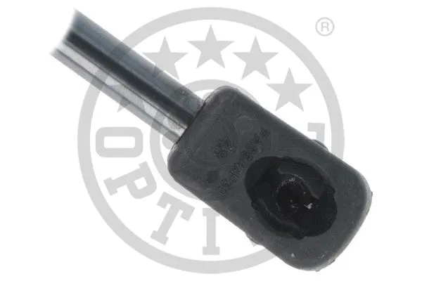 Gas Spring, boot/cargo area