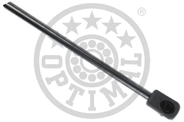 Gas Spring, boot/cargo area