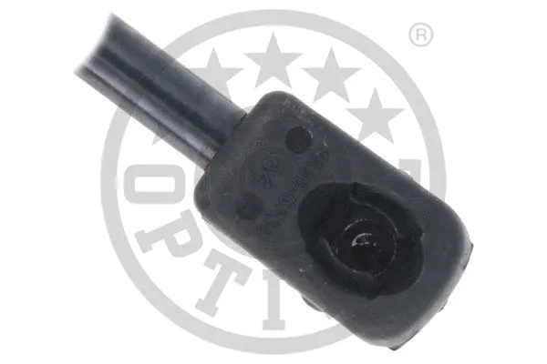 Gas Spring, boot/cargo area