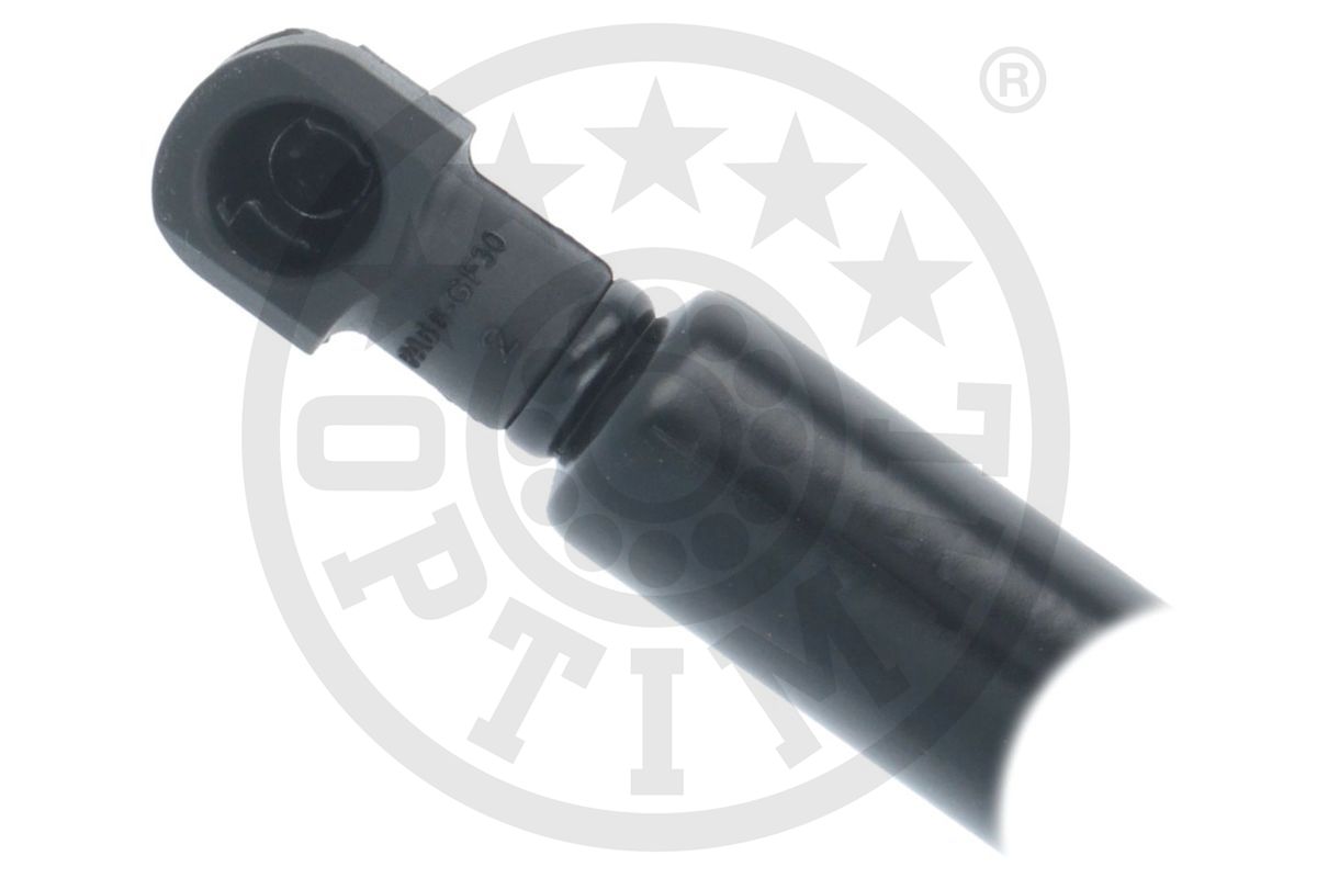 Gas Spring, boot/cargo area