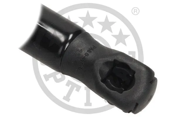 Gas Spring, boot/cargo area