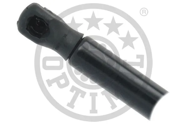 Gas Spring, boot/cargo area