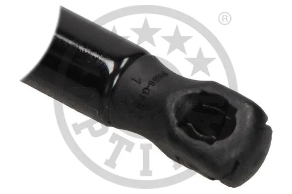 Gas Spring, boot/cargo area