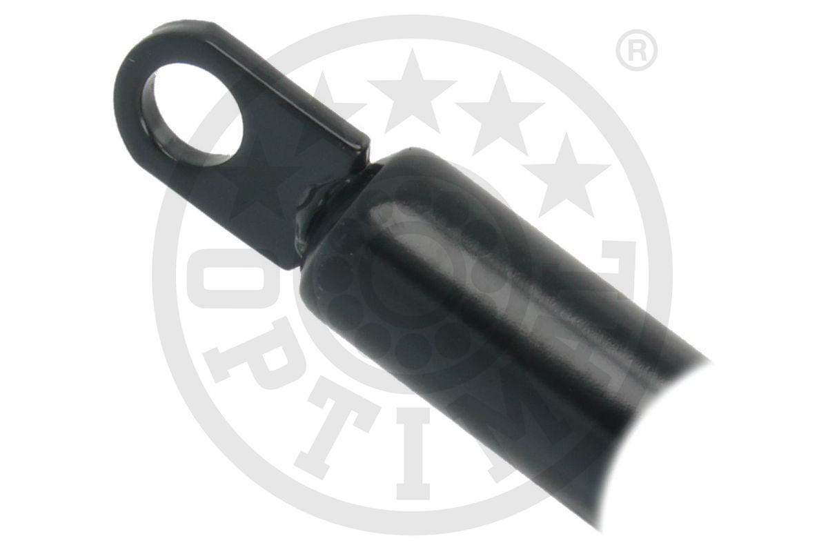 Gas Spring, boot/cargo area