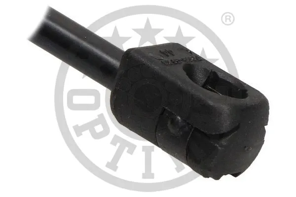 Gas Spring, boot/cargo area